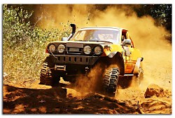 Obraz na stenu ZS - bez pomeru strán